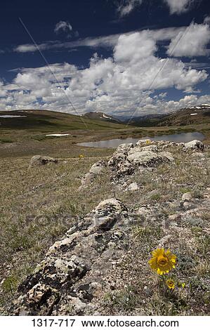Clouds over a hill, Independence Pass, Aspen, Colorado, USA View Large Photo Image Stock Photo - Clouds over a hill, Independence Pass, Aspen, Colorado, USA. Fotosearch