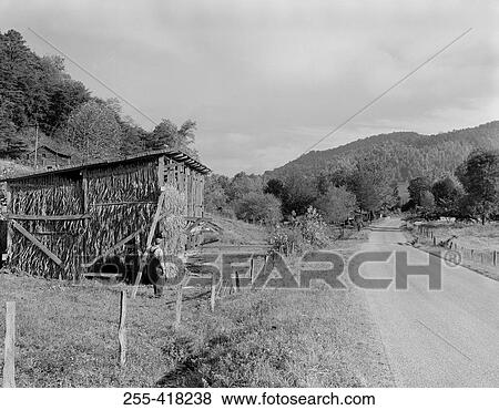 Stock Photo - Country road. Fotosearch