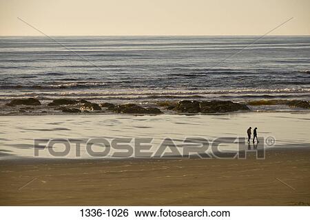 Couple walking on the beach, Oregon, USA View Large Photo Image Stock Photograph - Couple walking on the beach, Oregon, USA. Fotosearch