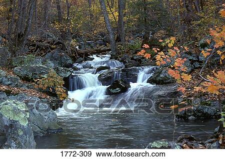 Creek flowing through a forest, Stoney Creek, Blue Ridge Mountains, Ontario, Canada View Large Photo Image Stock Photo - Creek flowing through a forest, Stoney Creek, Blue Ridge Mountains, Ontario, Canada. Fotosearch