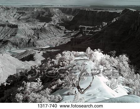 Dramatic view of a canyon, Grand Canyon, Grand Canyon National Park, Arizona, USA View Large Photo Image Stock Image - Dramatic view of a canyon, Grand Canyon, Grand Canyon National Park, Arizona, USA. Fotosearch