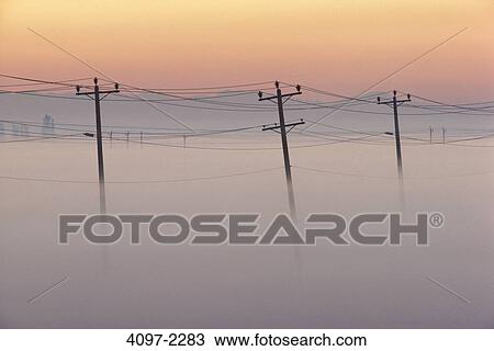 Electric poles in fog, Fraser Valley, British Columbia, Canada View Large Photo Image Stock Image - Electric poles in fog, Fraser Valley, British Columbia, Canada. Fotosearch