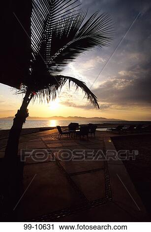 Empty table and chairs at a resort, Rancho Las Cruces, Cabo San Lucas, Baja California, Mexico View Large Photo Image Stock Image - Empty table and chairs at a resort, Rancho Las Cruces, Cabo San Lucas, Baja California, Mexico. Fotosearch