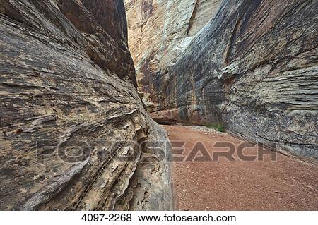 Eroded cliffs in a canyon, Grand Wash, Capitol Reef National Park, Utah, USA View Large Photo Image Stock Photo - Eroded cliffs in a canyon, Grand Wash, Capitol Reef National Park, Utah, USA. Fotosearch