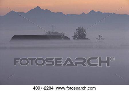 Farm covered with fog at sunrise, Fraser Valley, British Columbia, Canada View Large Photo Image Picture - Farm covered with fog at sunrise, Fraser Valley, British Columbia, Canada. Fotosearch