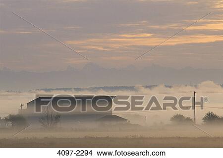 Farm covered with fog at sunrise, Fraser Valley, British Columbia, Canada View Large Photo Image Picture - Farm covered with fog at sunrise, Fraser Valley, British Columbia, Canada. Fotosearch