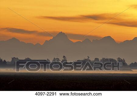Farm covered with fog at sunrise, Fraser Valley, British Columbia, Canada View Large Photo Image Stock Image - Farm covered with fog at sunrise, Fraser Valley, British Columbia, Canada. Fotosearch
