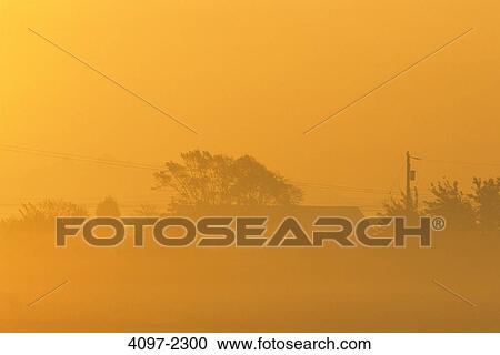 Farm covered with fog at sunrise, Fraser Valley, British Columbia, Canada View Large Photo Image Stock Image - Farm covered with fog at sunrise, Fraser Valley, British Columbia, Canada. Fotosearch