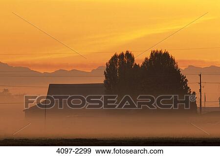 Farm covered with fog at sunrise, Fraser Valley, British Columbia, Canada View Large Photo Image Stock Photo - Farm covered with fog at sunrise, Fraser Valley, British Columbia, Canada. Fotosearch