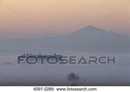 Farm covered with fog at sunrise, Fraser Valley, British Columbia, Canada View Large Photo Image Stock Photography - Farm covered with fog at sunrise, Fraser Valley, British Columbia, Canada. Fotosearch