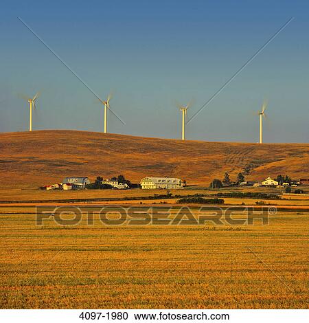 Stock Image - Farm with wind turbines in the background, Alberta, Canada. Fotosearch