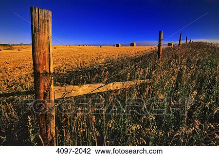 Stock Image - Fence in a field, Alberta, Canada. Fotosearch