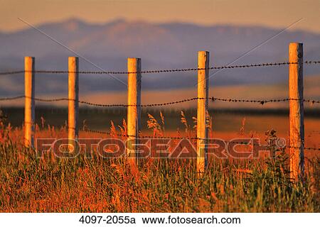 Fence in a field, Alberta, Canada View Large Photo Image Stock Image - Fence in a field, Alberta, Canada. Fotosearch