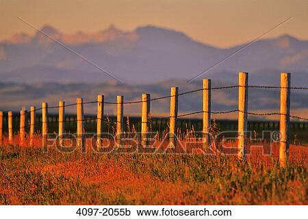 Fence in a field, Alberta, Canada View Large Photo Image Stock Image - Fence in a field, Alberta, Canada. Fotosearch