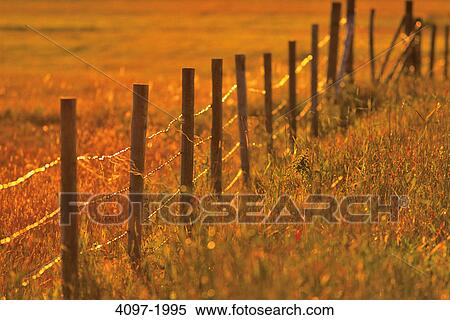 Stock Photography - Fence in a field, Alberta, Canada. Fotosearch