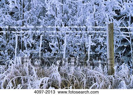 Field and fence covered with snow, Alberta, Canada View Large Photo Image Stock Image - Field and fence covered with snow, Alberta, Canada. Fotosearch