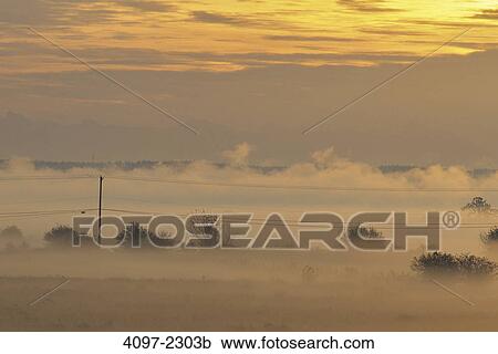 Stock Image - Field covered with fog at sunrise, Fraser Valley, British Columbia, Canada. Fotosearch