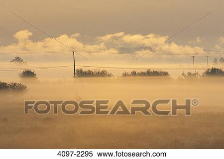 Field covered with fog at sunrise, Fraser Valley, British Columbia, Canada View Large Photo Image Stock Photography - Field covered with fog at sunrise, Fraser Valley, British Columbia, Canada. Fotosearch