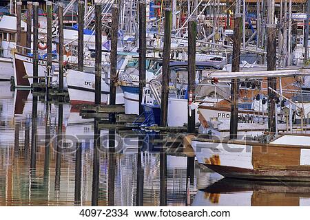 Picture - Fishing boats at a marina, Vancouver, British Columbia, Canada. Fotosearch