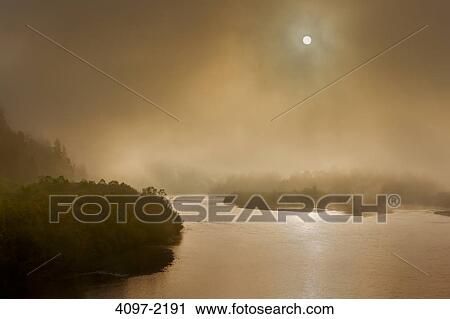 Fog over a river, Klamath River, Redwood National Park, California, USA View Large Photo Image Stock Image - Fog over a river, Klamath River, Redwood National Park, California, USA. Fotosearch