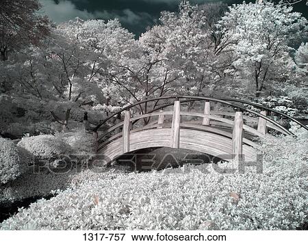 Stock Photo - Footbridge in a garden, Japanese Garden, USA. Fotosearch