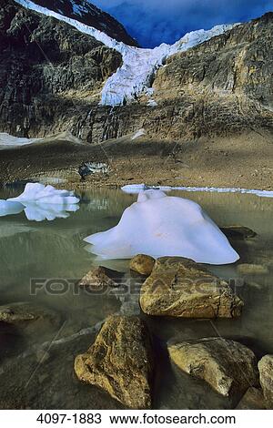 Glacier in a lake with a mountain in the background, Angel Glacier, Glacial Lake, Mt Edith Cavell, Jasper National Park, Alberta, Canada View Large Photo Image Stock Image - Glacier in a lake with a mountain in the background, Angel Glacier, Glacial Lake, Mt Edith Cavell, Jasper National Park, Alberta, Canada. Fotosearch