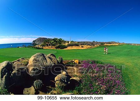 Stock Photography - Golfers standing in a golf course, Cabo Del Sol Golf Course, Cabo San Lucas, Baja California, Mexico. Fotosearch