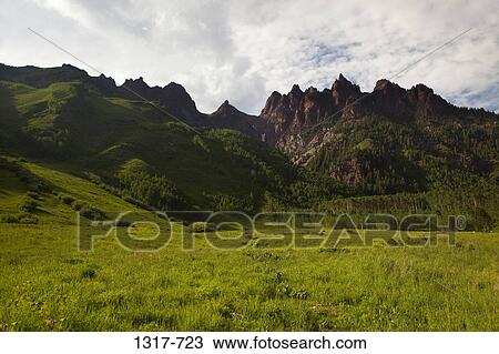 Grassland with a mountain range, Maroon Bells, Aspen, Pitkin County, Colorado, USA View Large Photo Image Stock Image - Grassland with a mountain range, Maroon Bells, Aspen, Pitkin County, Colorado, USA. Fotosearch