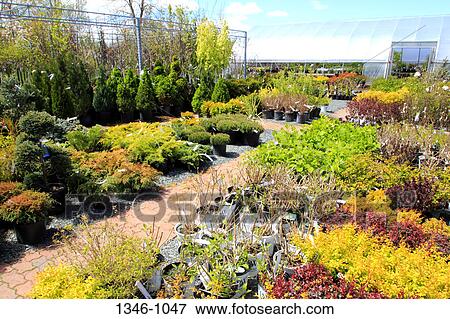 Stock Photo - Greenhouse and plant nursery, Nova Scotia, Canada. Fotosearch