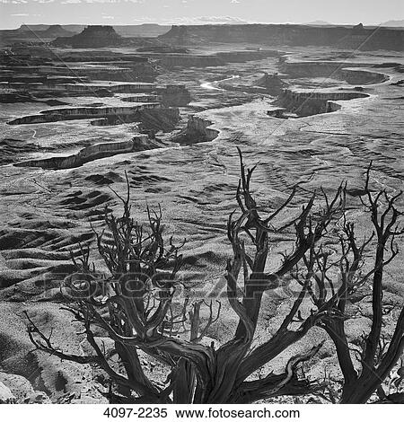 High angle view of a canyon, Canyonlands National Park, Utah, USA View Large Photo Image Stock Photography - High angle view of a canyon, Canyonlands National Park, Utah, USA. Fotosearch