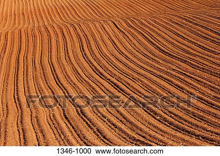 High angle view of a plowed field View Large Photo Image Stock Image - High angle view of a plowed field. Fotosearch