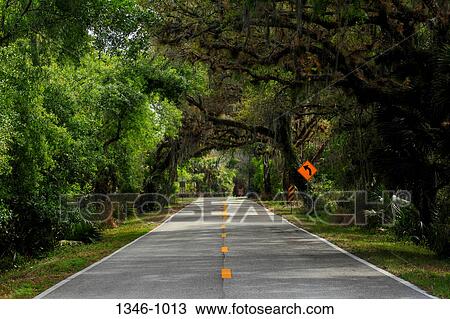 Highway passing through a forest, Florida State Road 780, Sarasota County, Florida, USA View Large Photo Image Stock Image - Highway passing through a forest, Florida State Road 780, Sarasota County, Florida, USA. Fotosearch