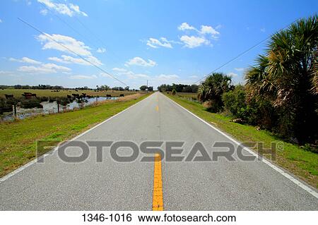 Highway passing through a landscape, Florida State Road 780, Sarasota County, Florida, USA View Large Photo Image Stock Photograph - Highway passing through a landscape, Florida State Road 780, Sarasota County, Florida, USA. Fotosearch