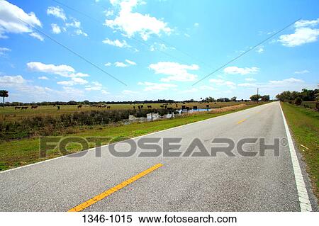Highway passing through a landscape, Florida State Road 780, Sarasota County, Florida, USA View Large Photo Image Stock Photography - Highway passing through a landscape, Florida State Road 780, Sarasota County, Florida, USA. Fotosearch