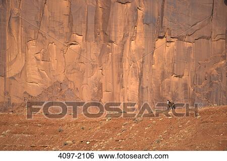 Horse in front of sandstone cliffs, Monument Valley, Arizona-Utah, USA View Large Photo Image Stock Photograph - Horse in front of sandstone cliffs, Monument Valley, Arizona-Utah, USA. Fotosearch