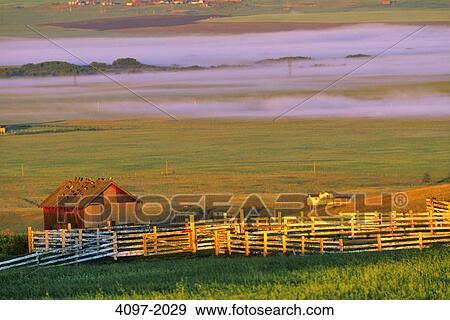 Stock Photo - House in a field, Alberta, Canada. Fotosearch