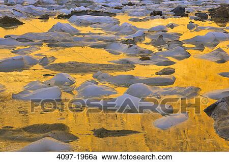 Icebergs in a lake at sunrise, Angel Glacier, Mt Edith Cavell, Jasper National Park, Alberta, Canada View Large Photo Image Stock Image - Icebergs in a lake at sunrise, Angel Glacier, Mt Edith Cavell, Jasper National Park, Alberta, Canada. Fotosearch