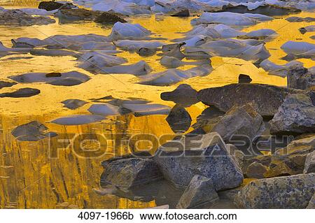 Icebergs in a lake at sunrise, Angel Glacier, Mt Edith Cavell, Jasper National Park, Alberta, Canada View Large Photo Image Stock Image - Icebergs in a lake at sunrise, Angel Glacier, Mt Edith Cavell, Jasper National Park, Alberta, Canada. Fotosearch