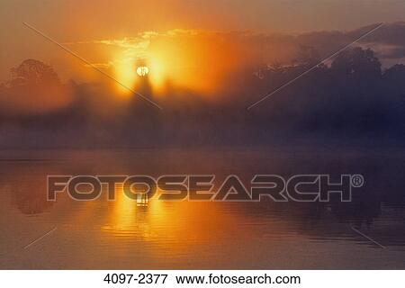 Lake at sunrise, Swan Lake, Swan Lake Nature Sanctuary, Saanich, Victoria, Vancouver Island, British Columbia, Canada View Large Photo Image Stock Photo - Lake at sunrise, Swan Lake, Swan Lake Nature Sanctuary, Saanich, Victoria, Vancouver Island, British Columbia, Canada. Fotosearch