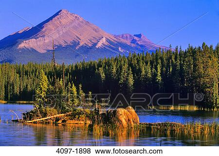 Lake with a mountain in the background, Osprey Lake, Endless Chain Ridge, Jasper National Park, Alberta, Canada View Large Photo Image Stock Photo - Lake with a mountain in the background, Osprey Lake, Endless Chain Ridge, Jasper National Park, Alberta, Canada. Fotosearch