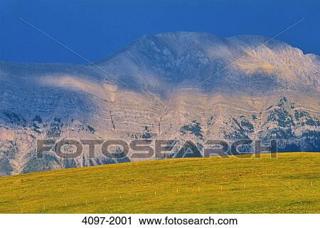 Landscape with mountains in the background, Rocky mountains, Alberta, Canada View Large Photo Image Stock Image - Landscape with mountains in the background, Rocky mountains, Alberta, Canada. Fotosearch