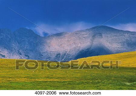 Landscape with mountains in the background, Rocky mountains, Alberta, Canada View Large Photo Image Stock Photograph - Landscape with mountains in the background, Rocky mountains, Alberta, Canada. Fotosearch
