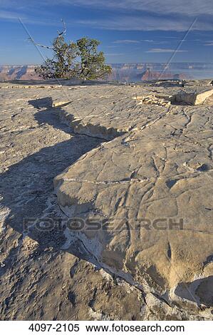 Landscape with rock formations in the background, Yaki Point, South Rim, Grand Canyon National Park, Arizona, USA View Large Photo Image Stock Photography - Landscape with rock formations in the background, Yaki Point, South Rim, Grand Canyon National Park, Arizona, USA. Fotosearch