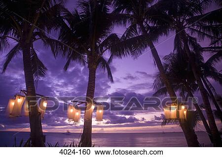 Lanterns lit up on palm trees, Boracay, Aklan Province, Western Visayas, Philippines View Large Photo Image Stock Image - Lanterns lit up on palm trees, Boracay, Aklan Province, Western Visayas, Philippines. Fotosearch