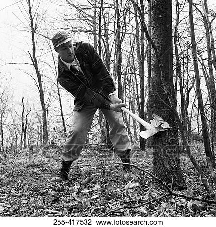 Stock Image - Man felling tree. Fotosearch
