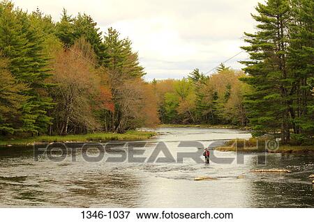 Man fishing in a river, Mersey River, Kejimkujik National Park, Nova Scotia, Canada View Large Photo Image Stock Photo - Man fishing in a river, Mersey River, Kejimkujik National Park, Nova Scotia, Canada. Fotosearch