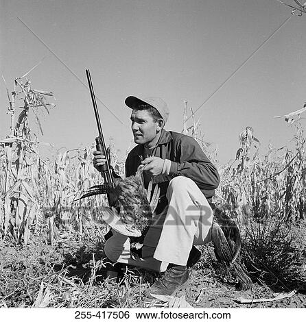 Stock Photograph - Man hunting for quails. Fotosearch