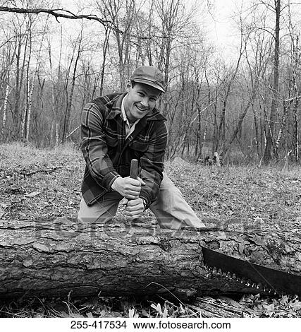 Man sawing tree View Large Photo Image Picture - Man sawing tree. Fotosearch
