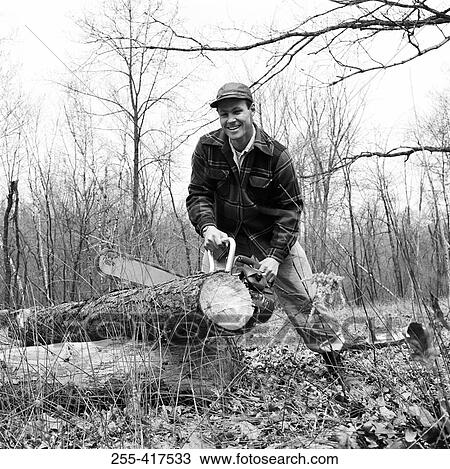 Man sawing tree View Large Photo Image Stock Image - Man sawing tree. Fotosearch