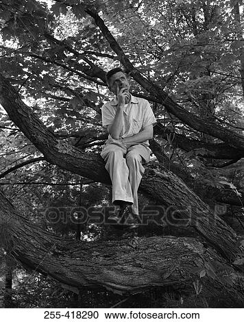 Stock Image - Man sitting on tree. Fotosearch